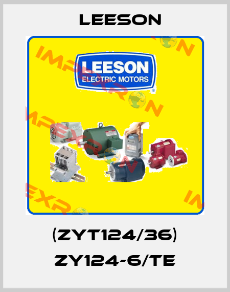 (ZYT124/36) ZY124-6/TE Leeson