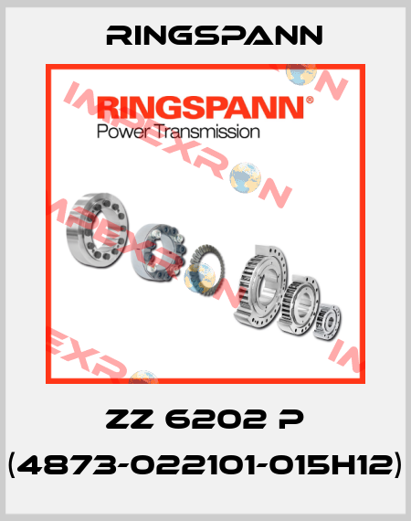 ZZ 6202 P (4873-022101-015H12) Ringspann