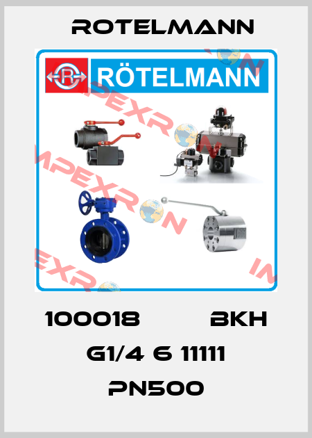 100018         BKH G1/4 6 11111 PN500 Rotelmann