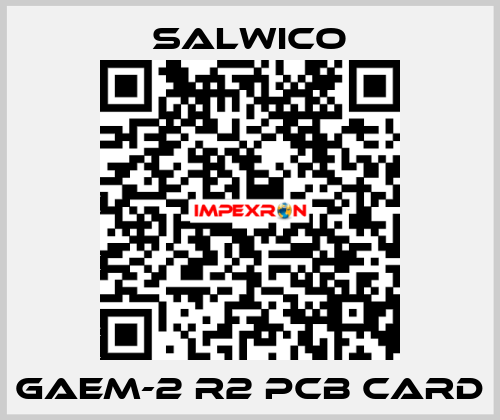 GAEM-2 R2 PCB CARD Salwico
