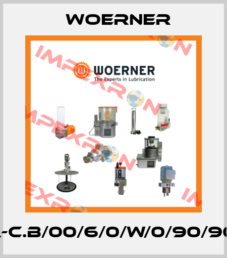 VPA-C.B/00/6/0/W/0/90/90/90 Woerner