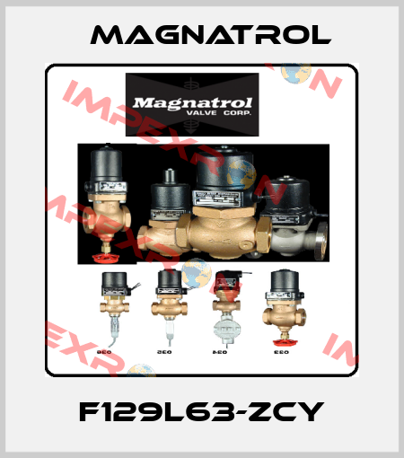 F129L63-ZCY Magnatrol