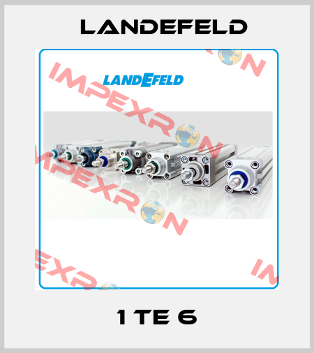 1 TE 6 Landefeld
