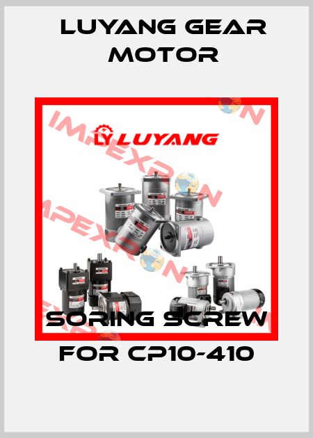SORING SCREW for CP10-410 Luyang Gear Motor
