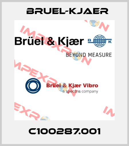 C100287.001 Bruel-Kjaer