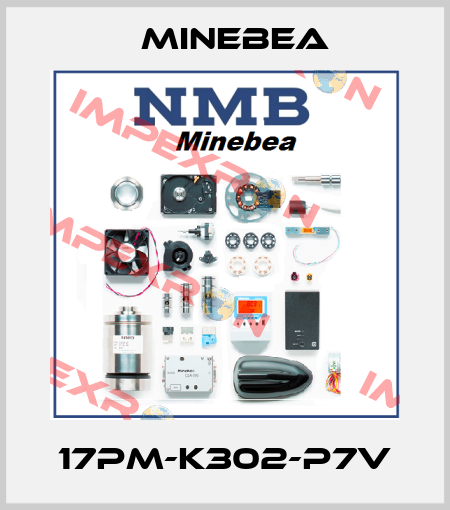 17PM-K302-P7V Minebea