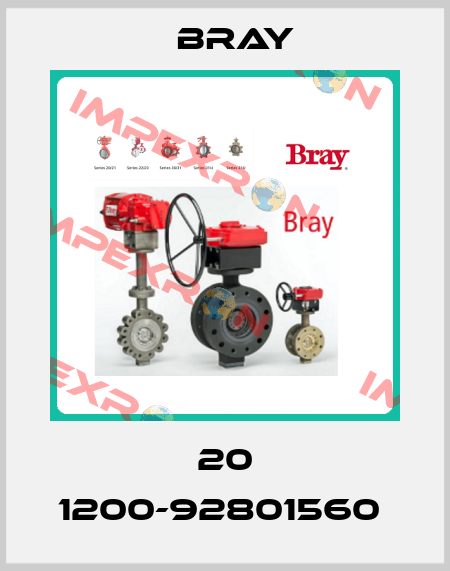 20 1200-92801560  Bray
