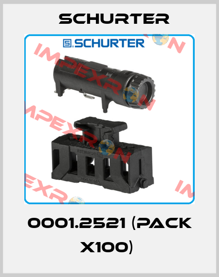 0001.2521 (pack x100)  Schurter