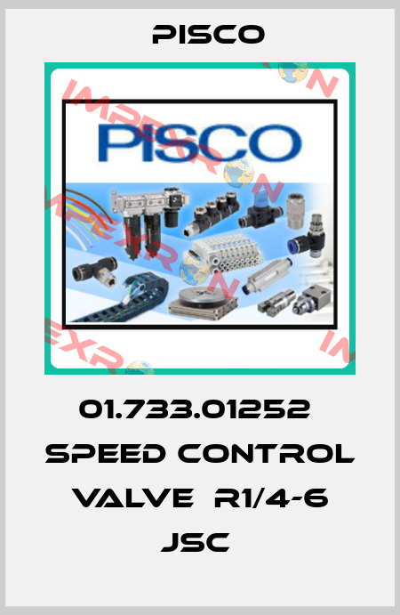 01.733.01252  speed control valve  R1/4-6 JSC  Pisco