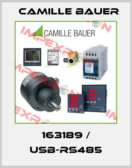 163189  USB-RS485 Camille Bauer