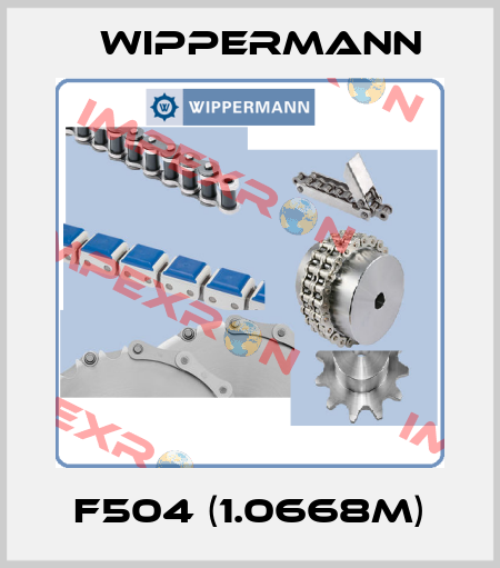 F504 (1.0668m) Wippermann