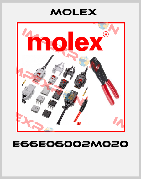 E66E06002M020  Molex