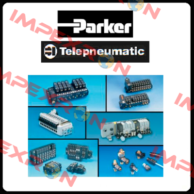 73417BN2PNM0H111P3 Parker