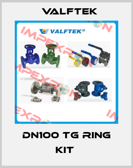 DN100 TG Ring Kit  Valftek