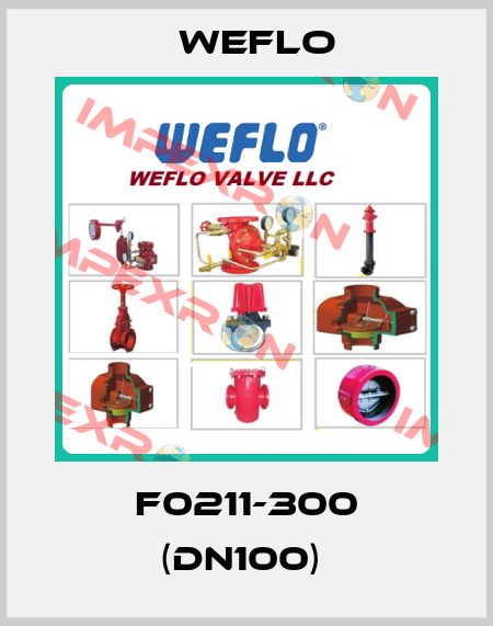 F0211-300 (DN100)  Weflo