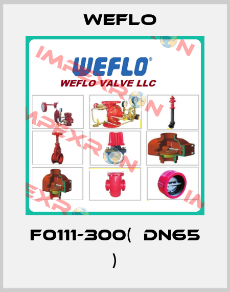 F0111-300(  DN65 ) Weflo
