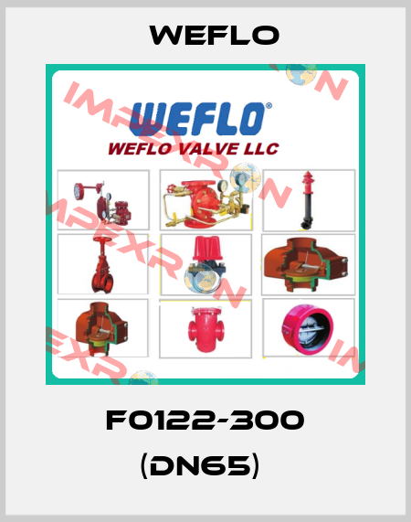 F0122-300 (DN65)  Weflo