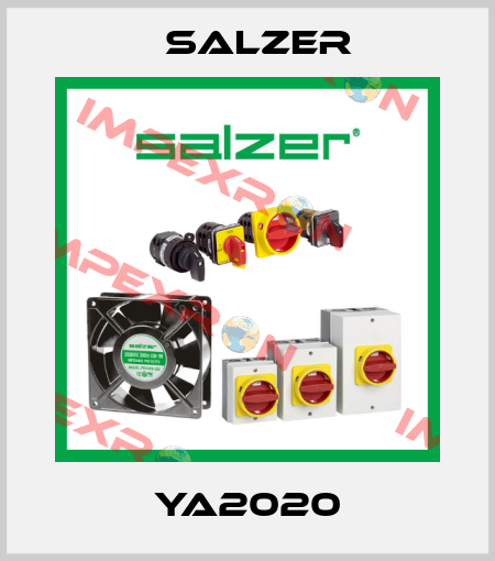 YA2020 Salzer