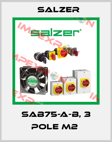 SAB75-A-B, 3 Pole M2  Salzer