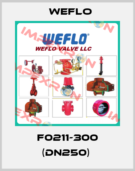 F0211-300 (DN250)  Weflo