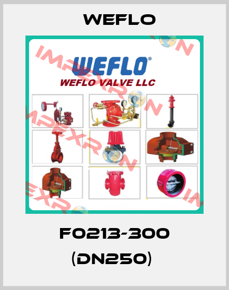 F0213-300 (DN250)  Weflo