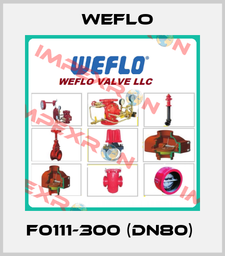F0111-300 (DN80)  Weflo