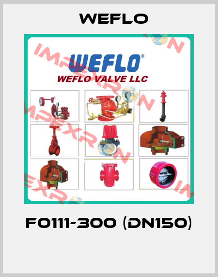 F0111-300 (DN150)  Weflo