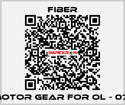 the motor gear for OL - 072106  Fiber