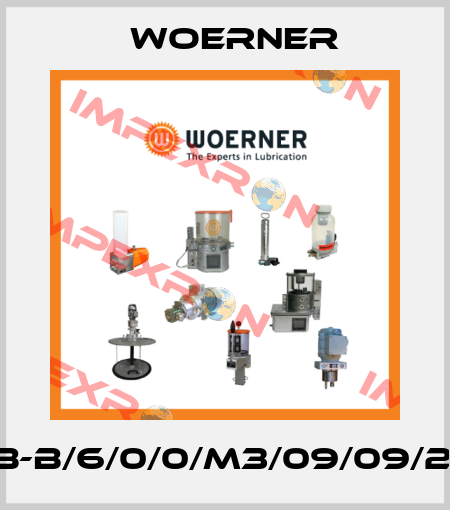 VPB-B/6/0/0/M3/09/09/20/P Woerner