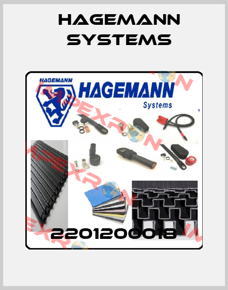 2201200018 Hagemann Systems
