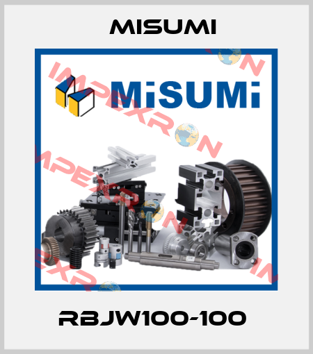 RBJW100-100  Misumi