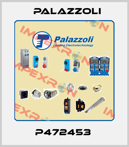 P472453  Palazzoli