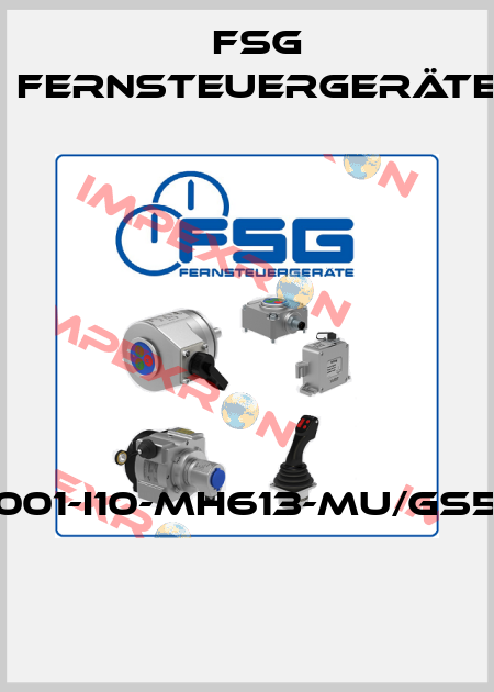 SL3001-I10-MH613-MU/GS55/01  FSG Fernsteuergeräte