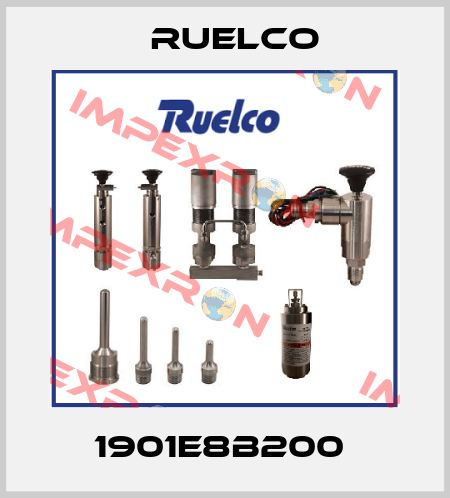 1901E8B200  Ruelco