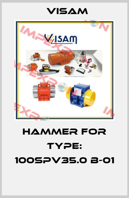 Hammer for Type: 100SPV35.0 B-01  Visam