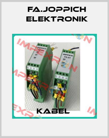 Kabel  Fa.Joppich Elektronik