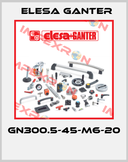 GN300.5-45-M6-20  Elesa Ganter