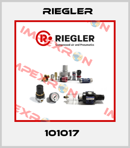 101017   Riegler