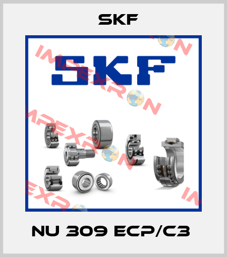 NU 309 ECP/C3  Skf