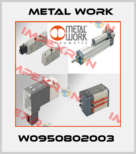 W0950802003  Metal Work
