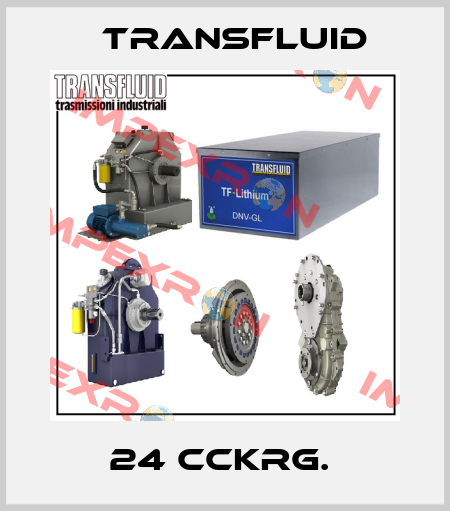 24 CCKRG.  Transfluid