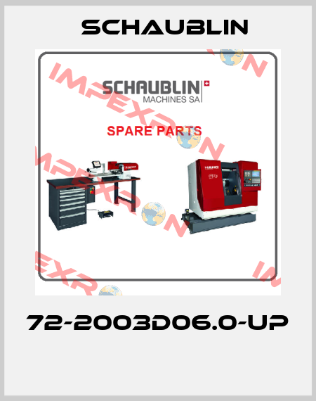 72-2003D06.0-UP  Schaublin