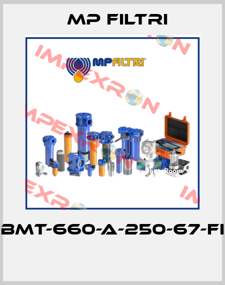 BMT-660-A-250-67-FI  MP Filtri