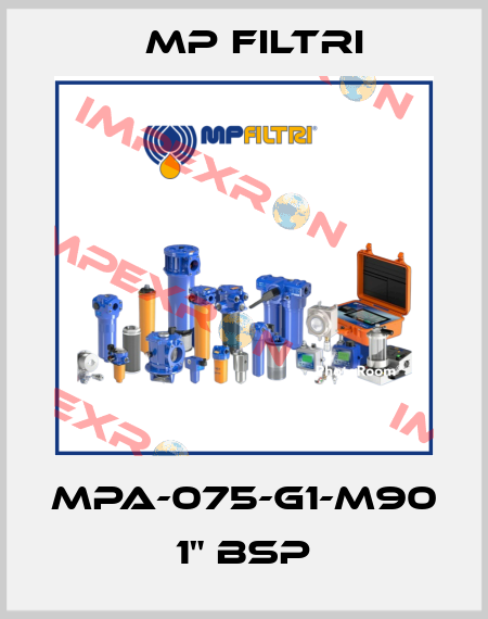 MPA-075-G1-M90    1" BSP MP Filtri