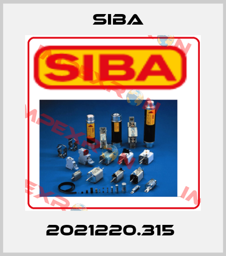 2021220.315  Siba