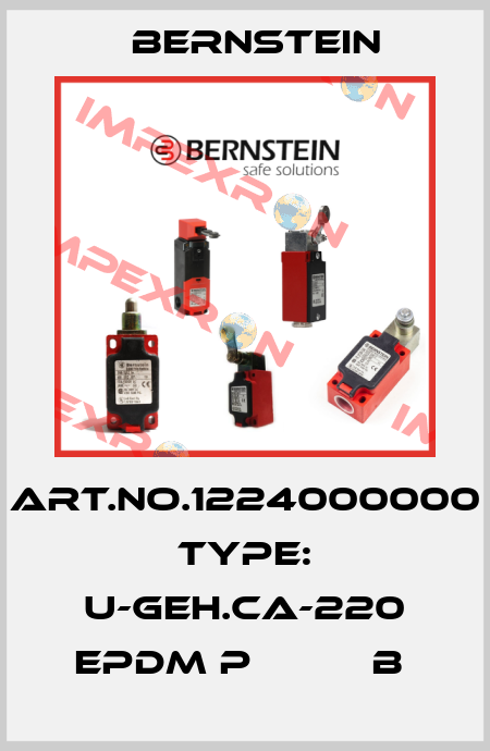 Art.No.1224000000 Type: U-GEH.CA-220 EPDM P          B  Bernstein