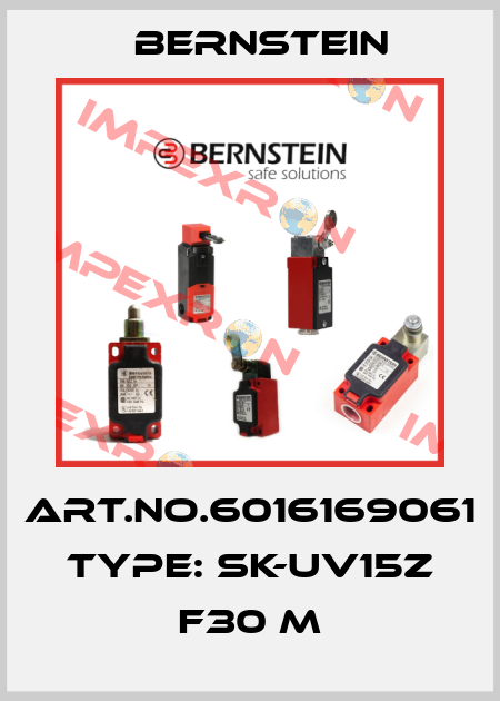 Art.No.6016169061 Type: SK-UV15Z F30 M Bernstein