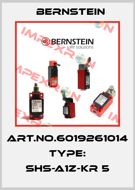 Art.No.6019261014 Type: SHS-A1Z-KR 5 Bernstein