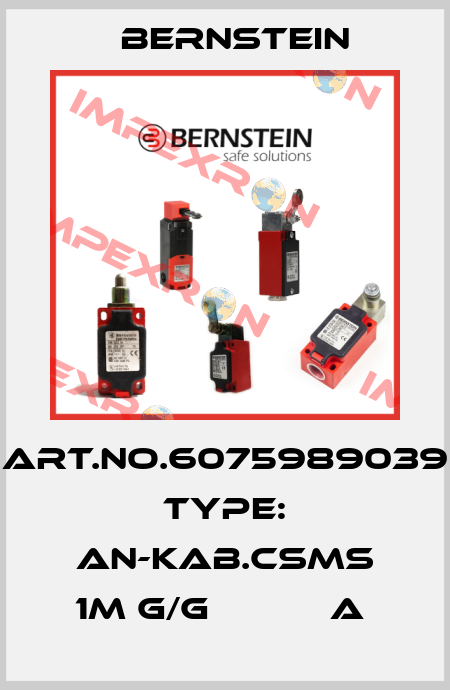 Art.No.6075989039 Type: AN-KAB.CSMS 1M G/G           A  Bernstein