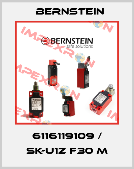 6116119109 / SK-U1Z F30 M Bernstein